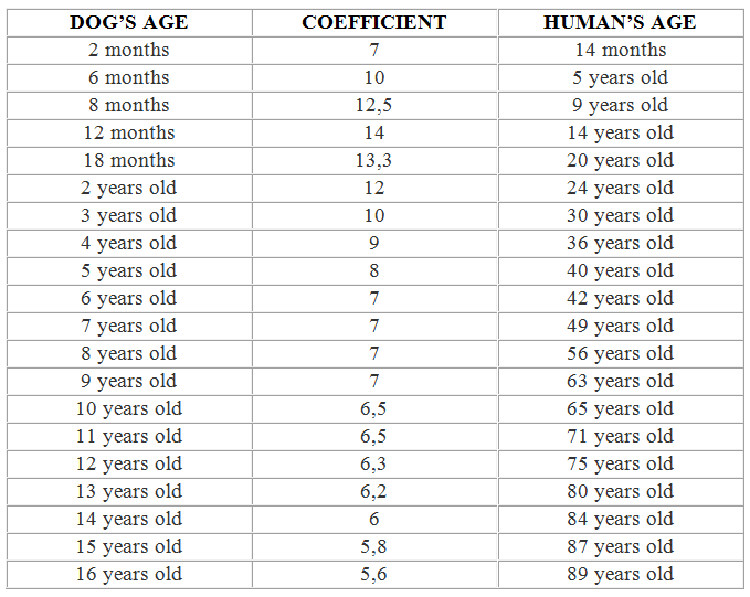 How do dogs age best sale in years